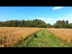 Прямой беспилотный летательный аппарат с фиксированным крылом, наблюдение за беспилотным летательным аппаратом, картографирование сельскохозяйственных промышленных самолетов